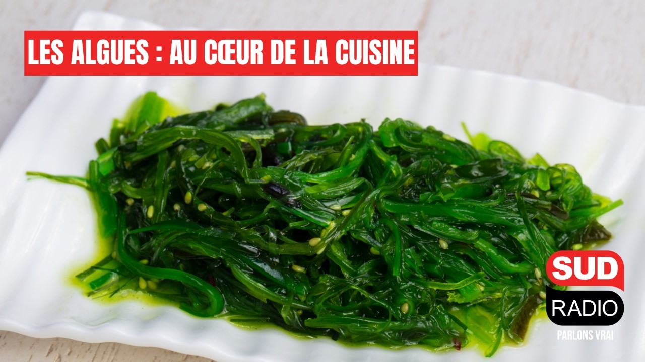 « Je vais les récolter moi-même sur la plage » : les algues, au cœur de la cuisine