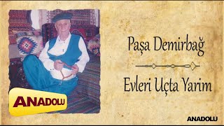 Paşa Demirbağ - Evleri Uçta Yarim Resimi