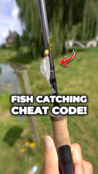This Bait is a Fish-Catching CHEAT CODE! 👀🎣#fishing