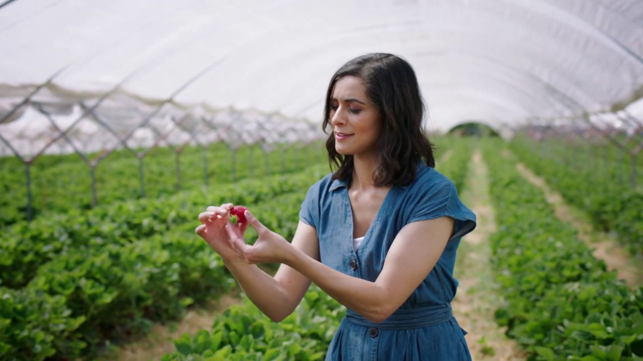 M&S Food | Fresh Market Update | Red Diamond Strawberries | Episode 1