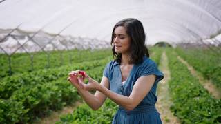 M&S Food Fresh Market Update Red Diamond Strawberries Episode 1