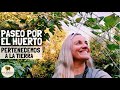 Cultivar tus propios alimentos es la actitud más revolucionaria que existe. El huerto en enero!