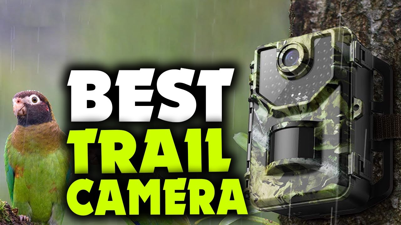 TOP 6: Best Trail Camera 2022 | for wildlife photography and nature watching!