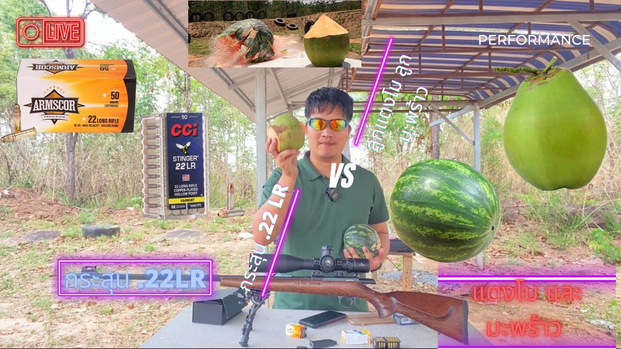 กระสุน .22lr vs แตงโมและลูกมะพร้าว | ความอันตรายของปืนลูกกรด 1 | .22lr ยิงคนตุยไหม