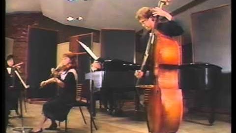 6. Stringed Instruments