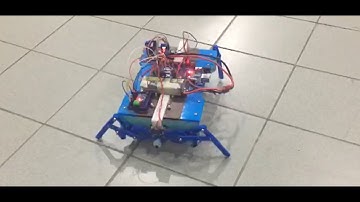 USM 2019 #EEM355 | Group 12 | Autonomous 4-Legged Walking Robot