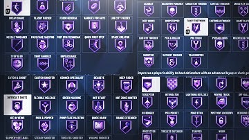 THE BEST BADGES FOR EACH AND EVERY BUILD IN NBA 2K20! EXPERT IN DEPTH BREAKDOWN OF EVERY BADGE!