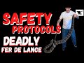 Safe Handling Venomous Snake Techniques  | Safety Protocols Fer de lance