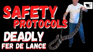 How-to Safely Handle Venomous | Snake Hook Techniques  | Safety Protocols Fer de lance