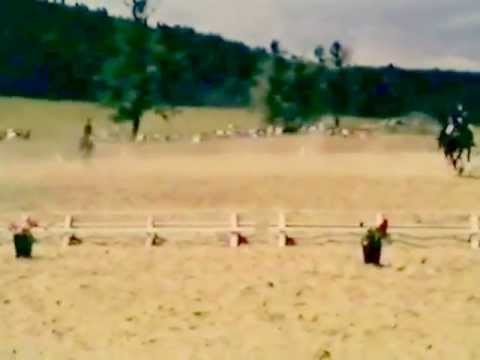 Dressage Quadrille 1983