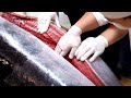 [FULL VER] How to make a master&#39;s sashimi after dismantling a large tuna / Dismantling 250k raw tuna