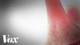 Watch the world's first lab-grown human muscle flex