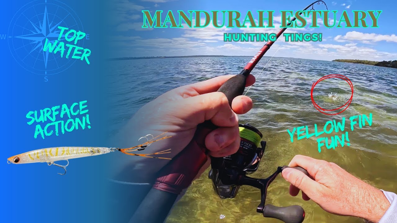 Mandurah Estuary Ting Sessions | Hunting Whiting