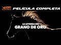 La Leyenda del Grano de Oro | Película Completa | Cine Mexicano