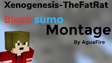 Xenogenesis : A block sumo montage
