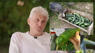 Тиньков поясняет за овощи