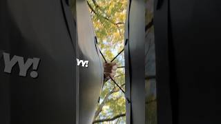 copy_26D71A2C-36AF-4CB2-AB81-84047B516545 copy_26D71A2C-36AF-4CB2-AB81-84047B516545
