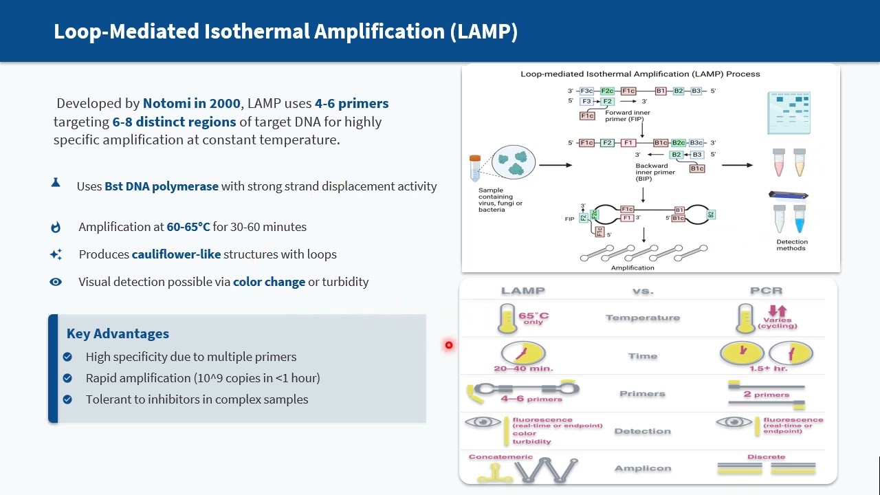 RPA recombinase polymerase amplification - isothermal DNA amplification. Dr. Joseph shenekji