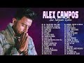 POPURRI ALEX CAMPOS EN ADORACIÓN: El Sonido Del Silencio, Al Taller Del Maestro, Suave Voz... Y Más