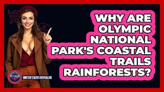 Why Are Olympic National Park's Coastal Trails Rainforests? - United States Revealed