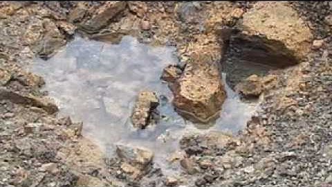 Sakhalin-2 Project_Erosion Control and Reinstatement techniques.wmv