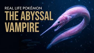 Real Life Pokémon Gorebyss The Abyssal Vampire