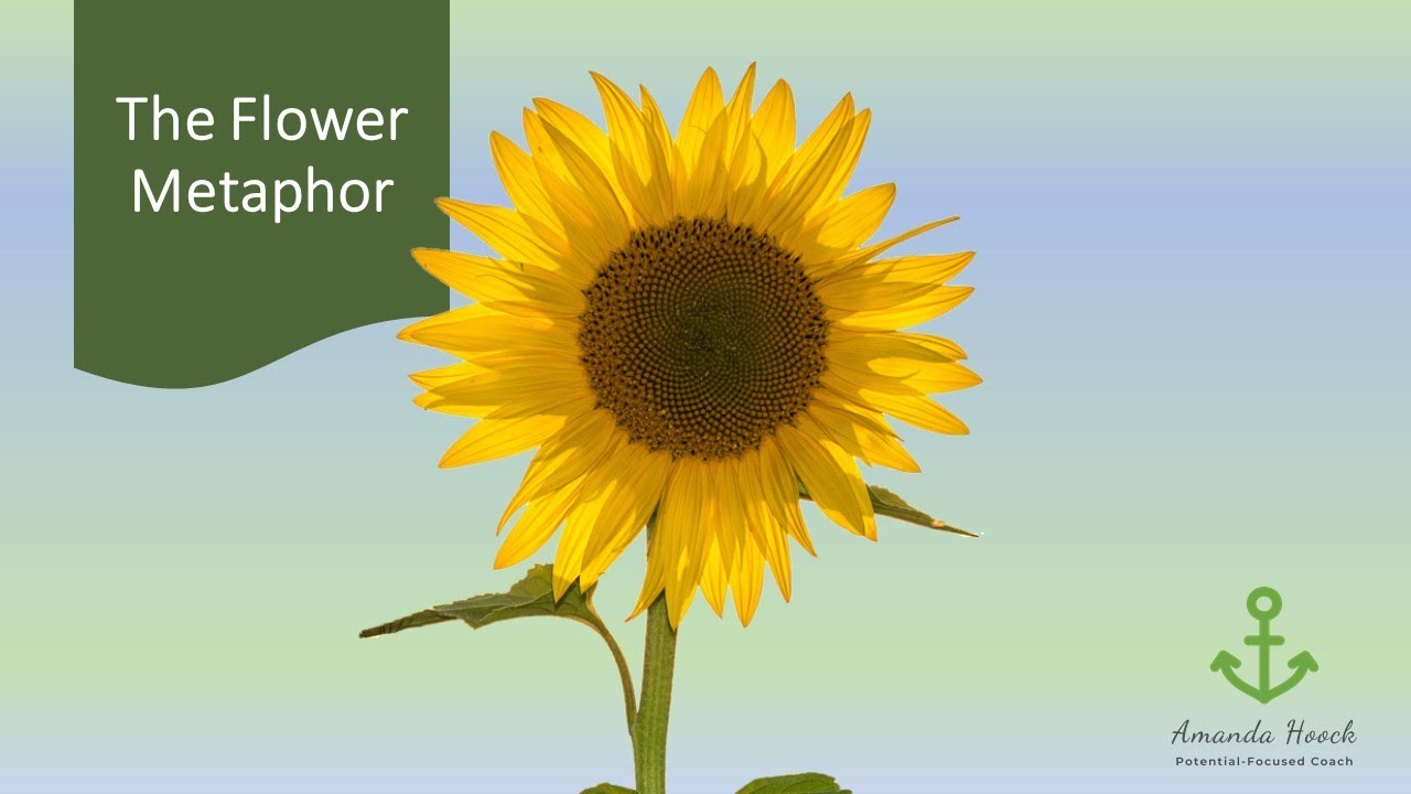 SELF-CARE [The Flower Metaphor]