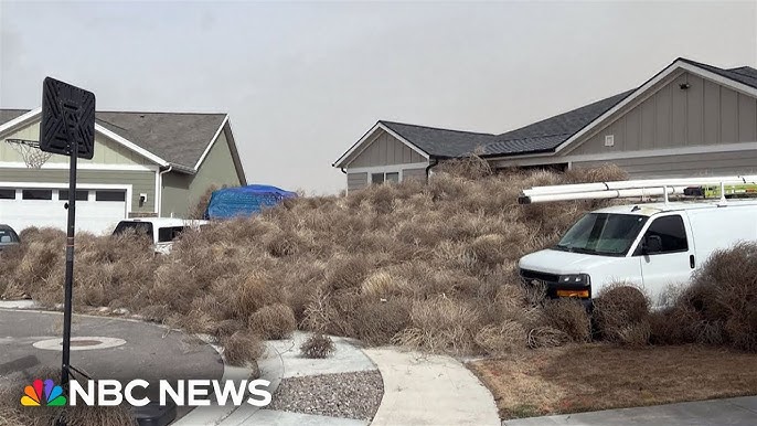 Watch Tumbleweed Invades Utah Neighborhood