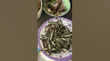 Cá linh non chiên giòn chấm nước mắm me ôi thôi ngon 😋