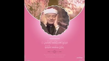 - سـورة الرحمن / القارئ الشيخ عبدالباسط عبدالصمد رحمه الله .