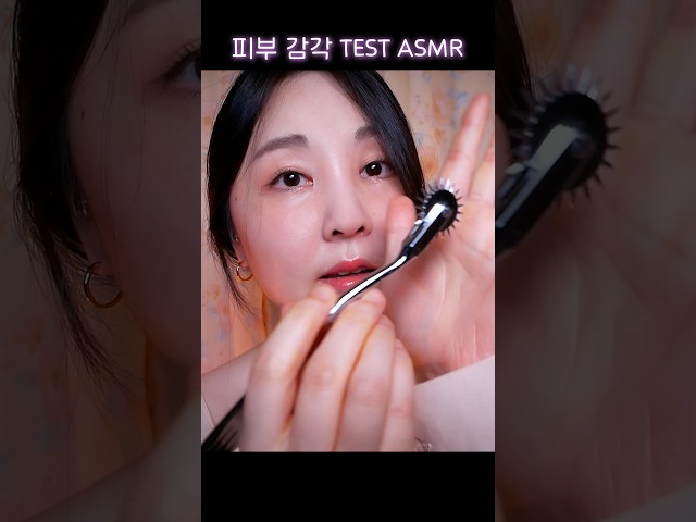 피부감각 TEST ASMR Sharp or Dull