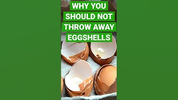 Why You Should Not Throw Away Eggshells #shorts #short #shortvideo
