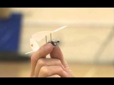 Smallest Radio Controlled Model Plane 