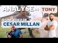 Comment se mettre dans la md  analyse de cesar millan