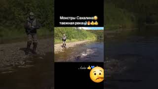 Монстры Сахалина (таёжная река).
