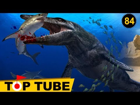 Top 10 Loài Động Vật Khổng Lồ Và Đáng Sợ Nhất Dưới Biển Thời Tiền Sử [Top Tube 84]