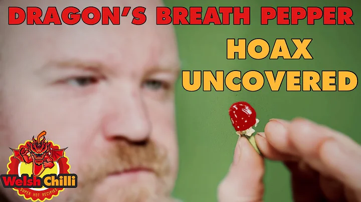 Is the Dragon's Breath pepper hotter than the Carolina Reaper? (2023)
