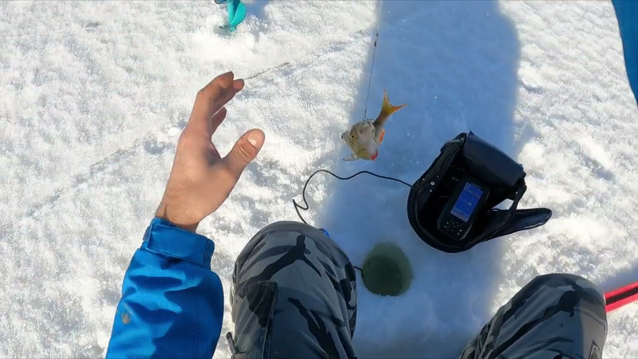 pilkillä vaasassa 12.3-22