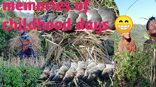 Traditional Way Of Catching Rats By Village Kids Rural Lifestyle