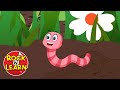 Wiggly Woo Quiz