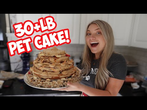 FEEDING ALL MY PETS a GIANT Birthday Cake I Made Them!