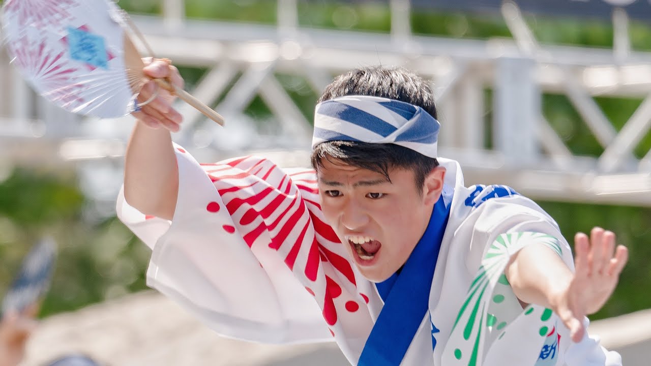四国の祭り2019・新のんき連②_20190504 Awaodori in Tokushima Japan