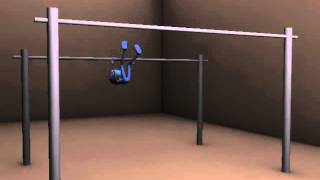 BodyMechanics poleroll