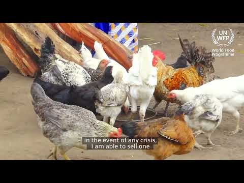 WFP Uganda. Ensures that most vulnerable refugees are supported while ...