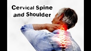 Cervical spine and shoulder