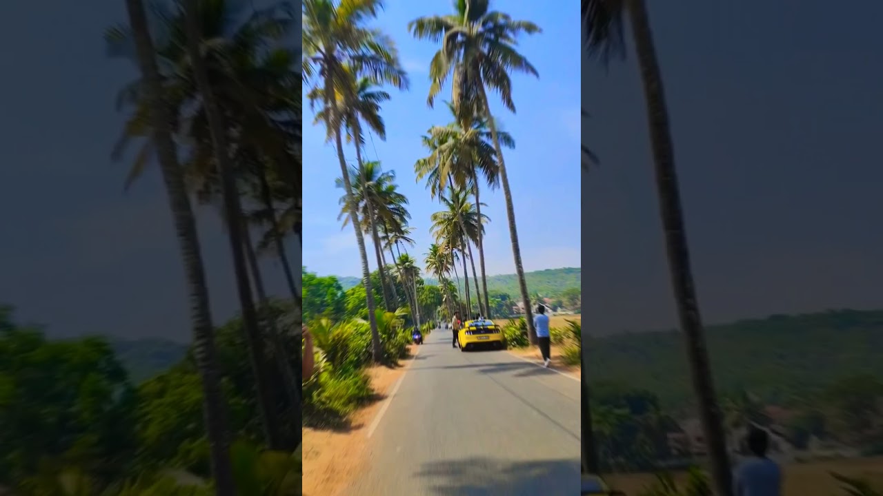 Beauty of parra road, Goa. 