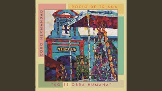 Vignette de la vidéo "Coro de la Hermandad del Rocío de Triana - Sevillanas de Siempre"