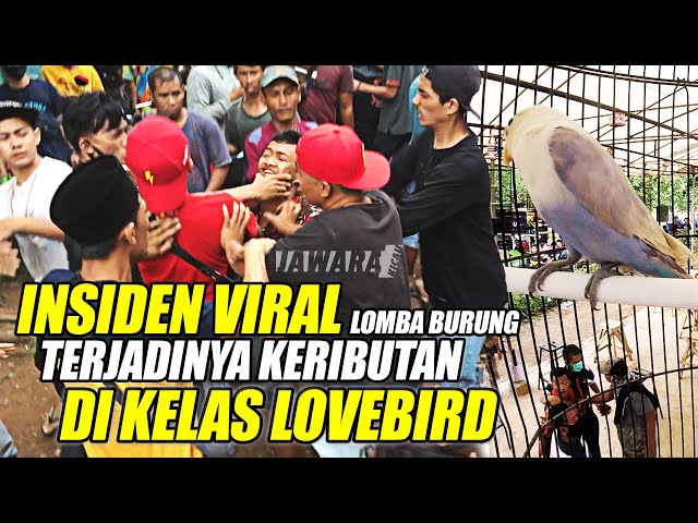 LAGI VIRAL ! INSIDEN LOMBA BURUNG BERKICAU TERJADINYA KERIBUTAN SALING BAKUHANTAM DI KELAS LOVEBIRD class=