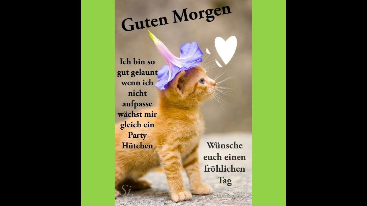 🙈🛌Guten habt ihr gut geschlafen? Heute ist schon Dienstag. 🤗🤸‍♀