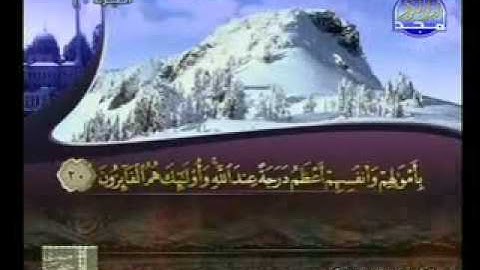 سورة التوبة 1 33 الشيخ محمود سكر